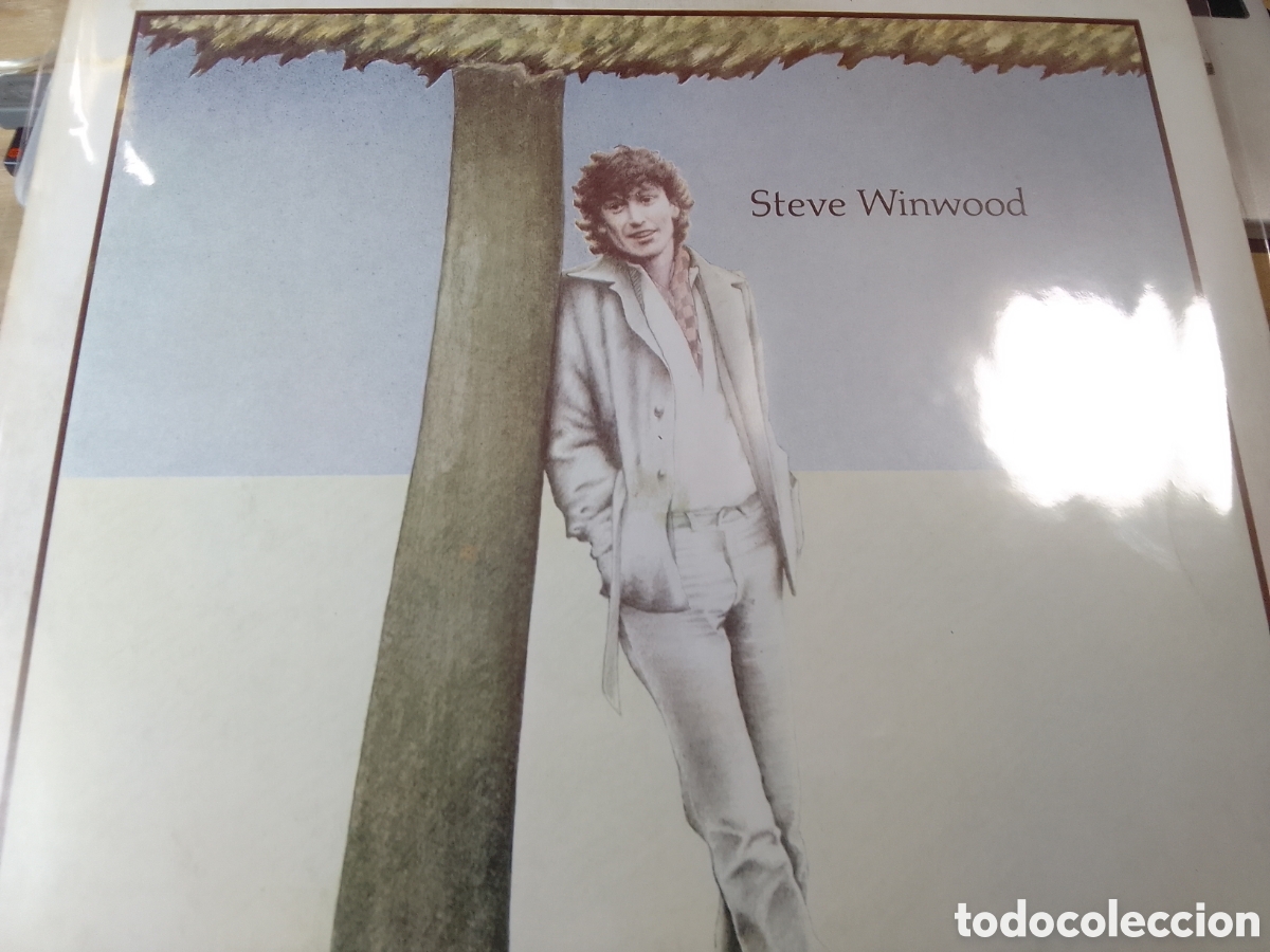 Discos de vinilo: STEVE WINWOOD - Foto 1