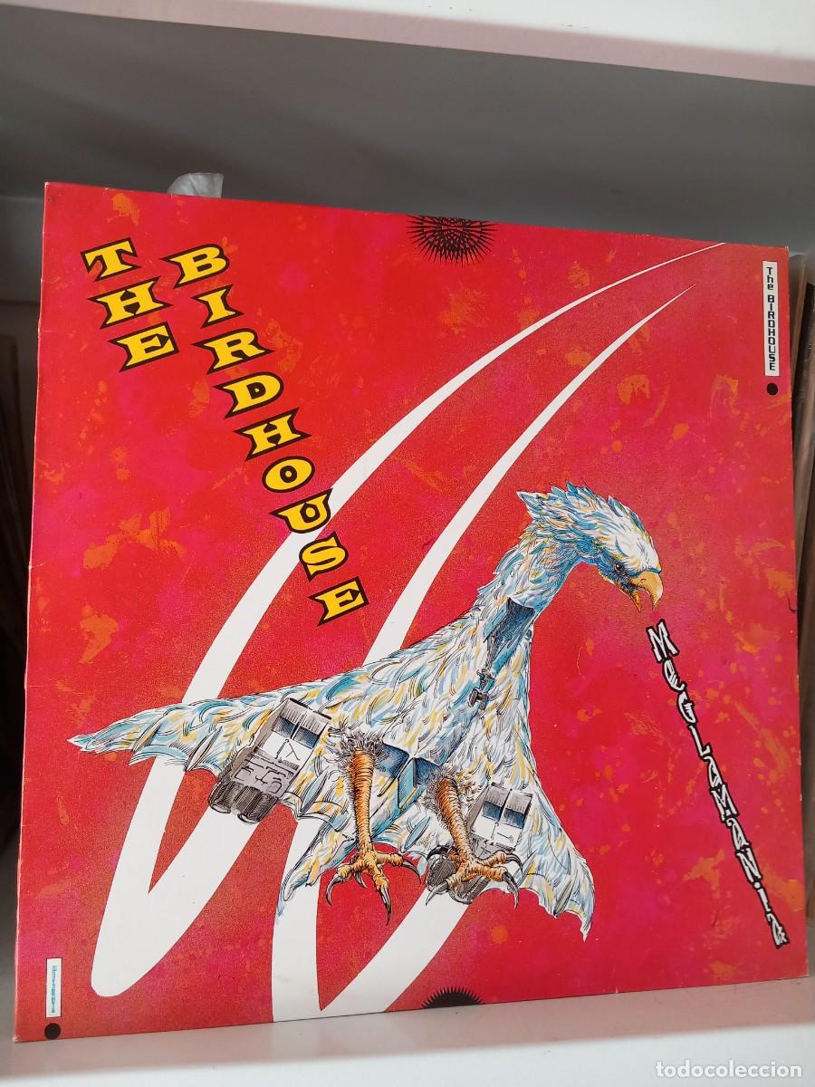 Discos de vinilo: The Birdhouse &lrm;&ndash; Meglamania - lp - Foto 1