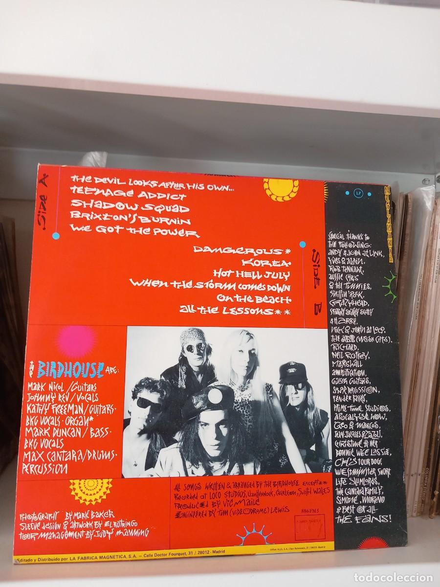 Discos de vinilo: The Birdhouse &lrm;&ndash; Meglamania - lp - Foto 2