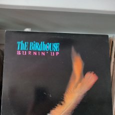 Discos de vinilo: THE BIRDHOUSE – BURNIN' UP - LP UK. Lote 390656469