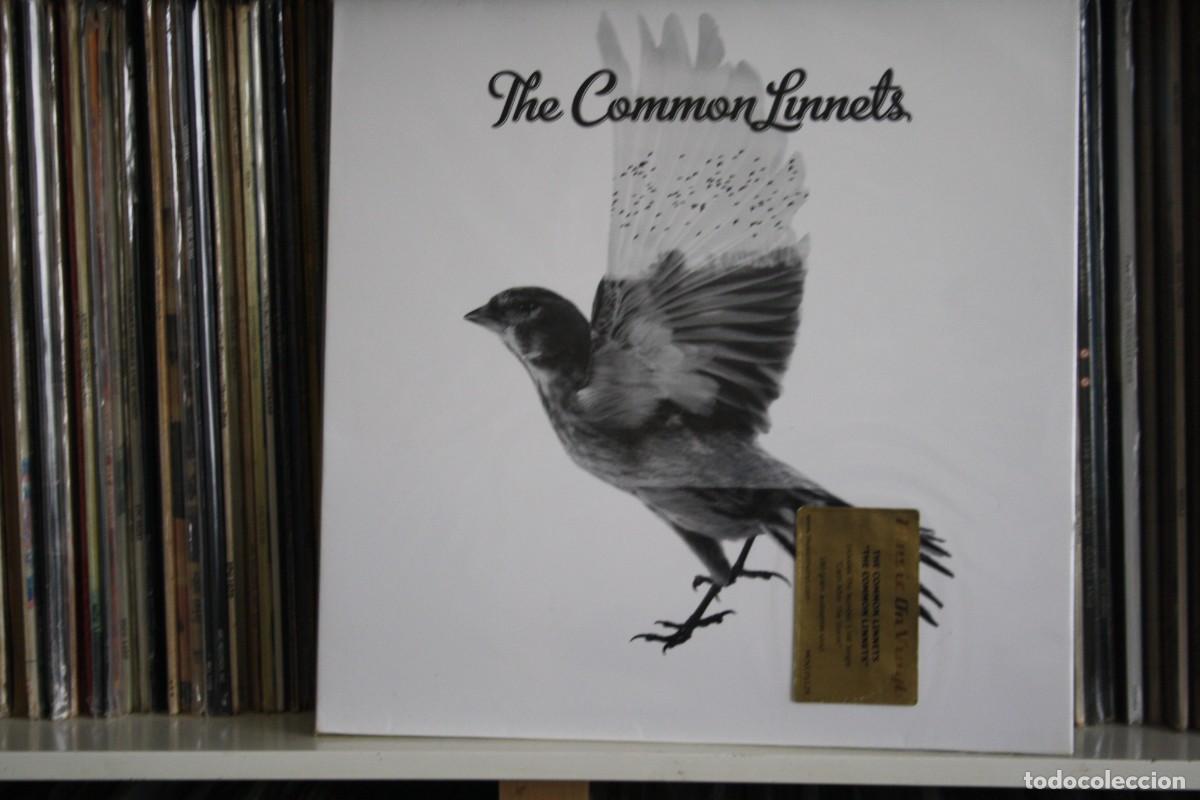 Discos de vinilo: THE COMMON LUNNETS, ORIGINAL 2014, - Foto 1