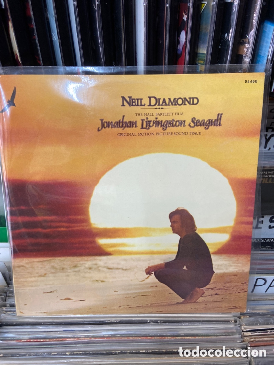 Discos de vinilo: Neil diamond jonathan livingston seagull - Foto 1