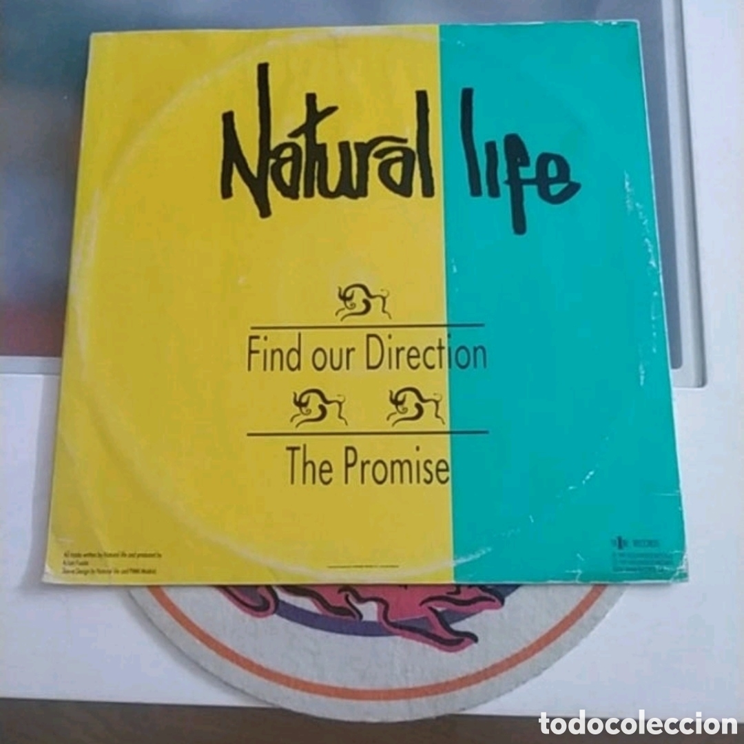 Discos de vinilo: Maxi single Natural Life. Find our Direction - Foto 2