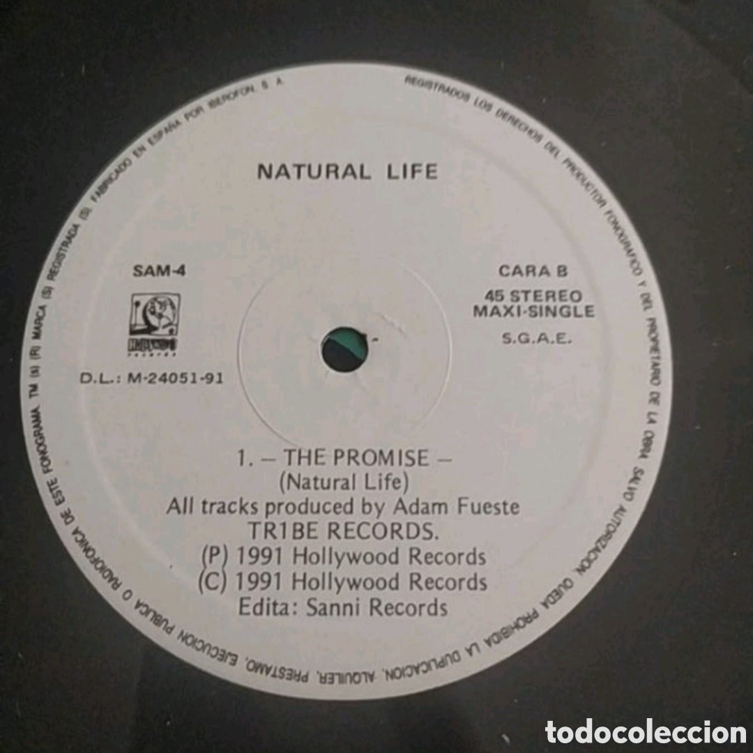 Discos de vinilo: Maxi single Natural Life. Find our Direction - Foto 4