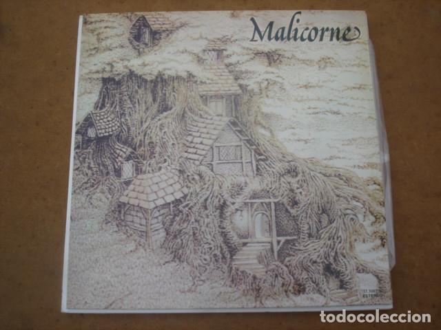 Discos de vinilo: Malicorne Malicorne - Foto 1