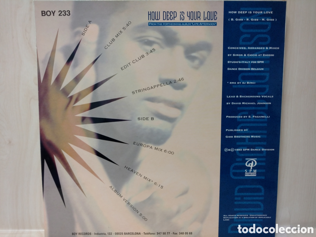 Discos de vinilo: David Michael Johnson - How Deep Is Your Love (12&rdquo;, Maxi) - Foto 2