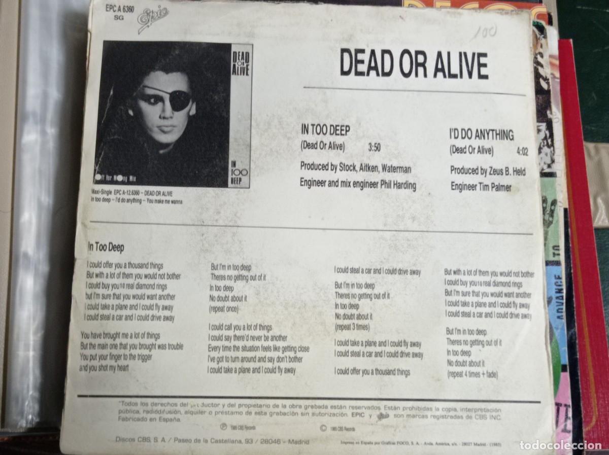 Discos de vinilo: Disco single In Too Deep Canci&oacute;n de Dead or Alive - Foto 2