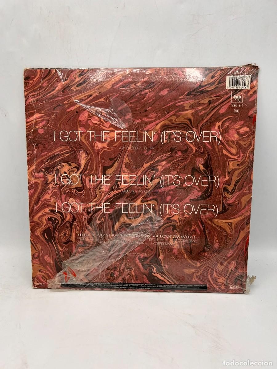Discos de vinilo: MAXI SINGLE - GREGORY ABBOTT - I GOT THE FEELIN - CBS - MADRID, 1987 - Foto 4