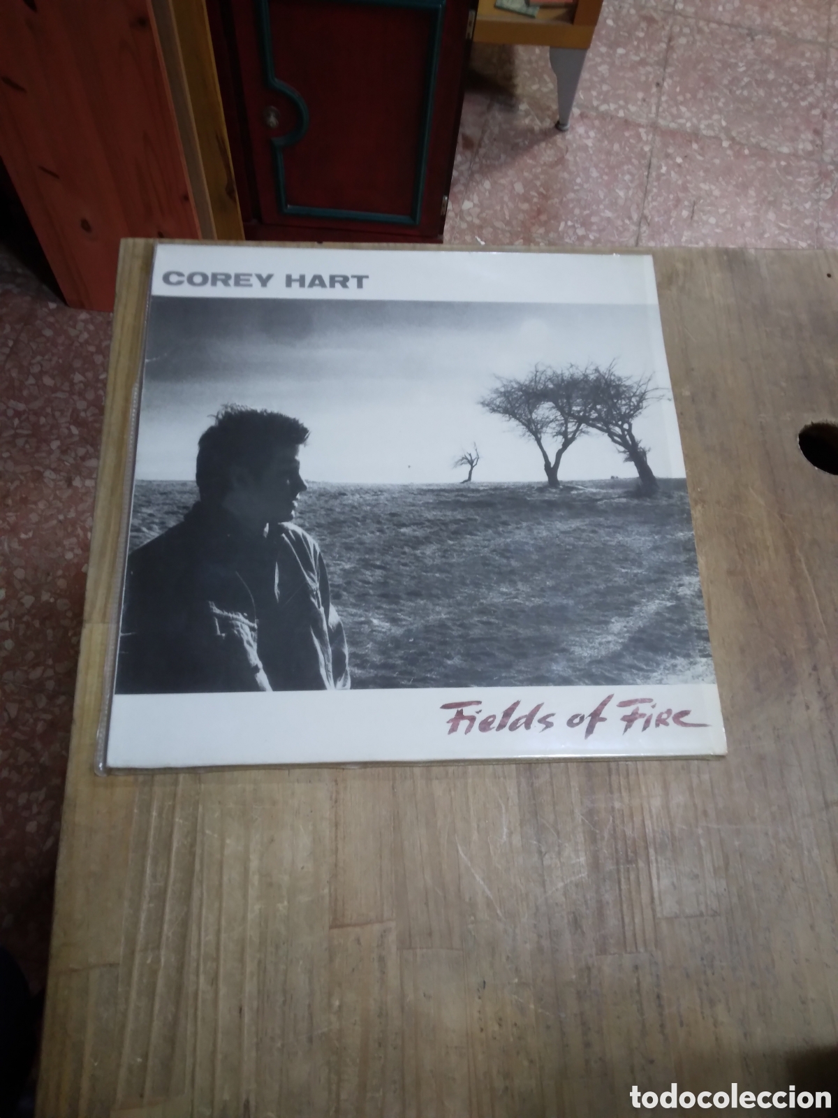 Discos de vinilo: Corey Hart, Fields of fire - Foto 1