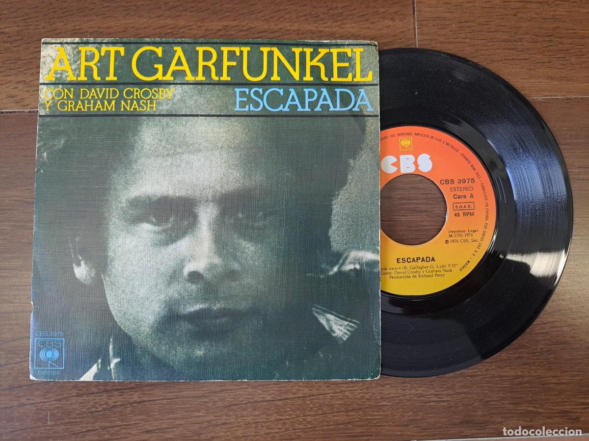 Discos de vinilo: VINILO ART GARFUNKEL - Foto 1