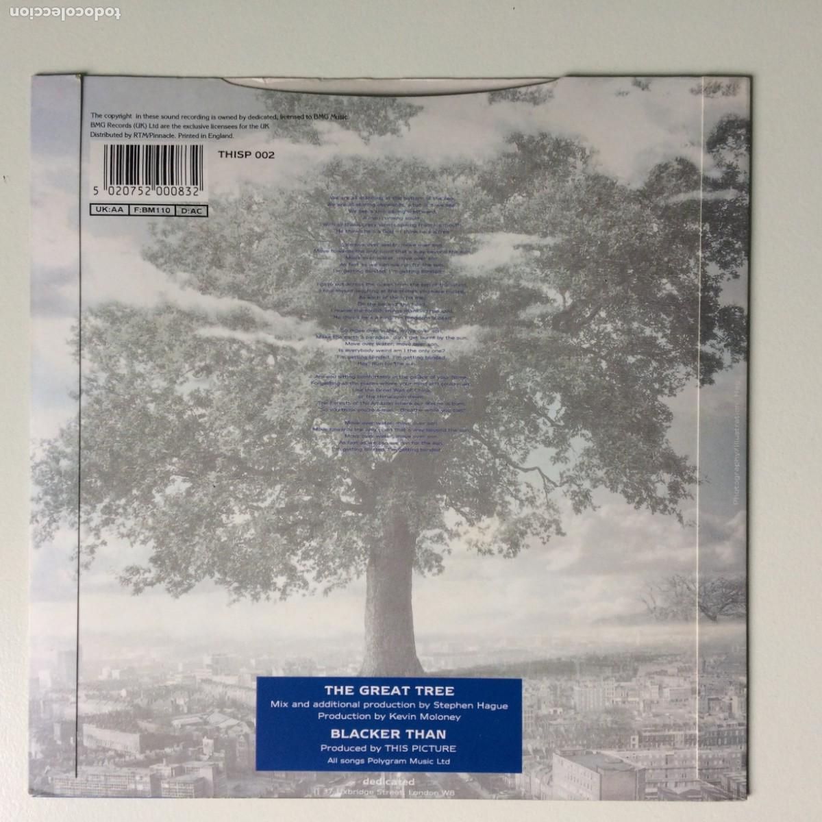 Discos de vinilo: This Picture &lrm;&ndash; The Great Tree / Blacker Than , UK 1991 Dedicated - Foto 2