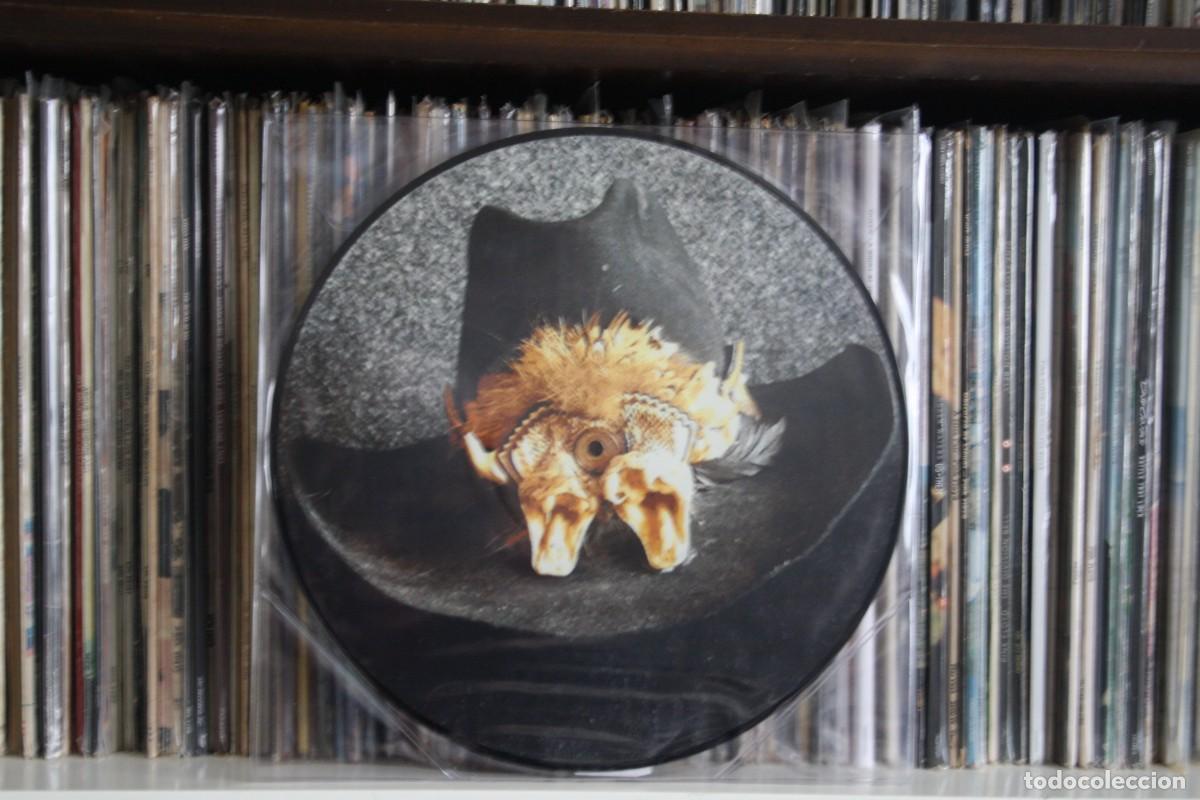 Discos de vinilo: JOHNNY WINTER, STEP PACK, PICTURE DISC. LP. NUEVO. - Foto 2