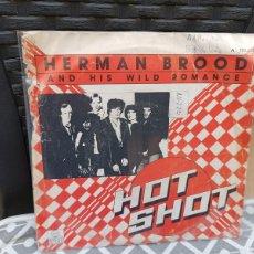 Discos de vinilo: HERMAN BROOD. Lote 399005664