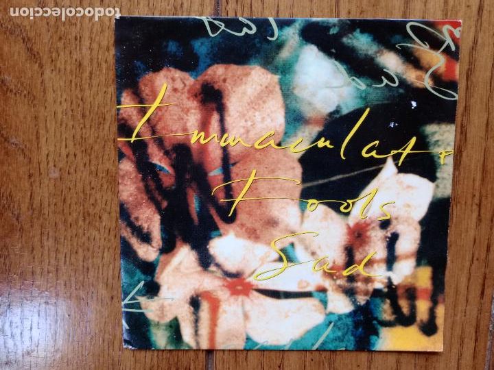 Discos de vinilo: Immaculate Fools - sad + will we rise - Foto 1