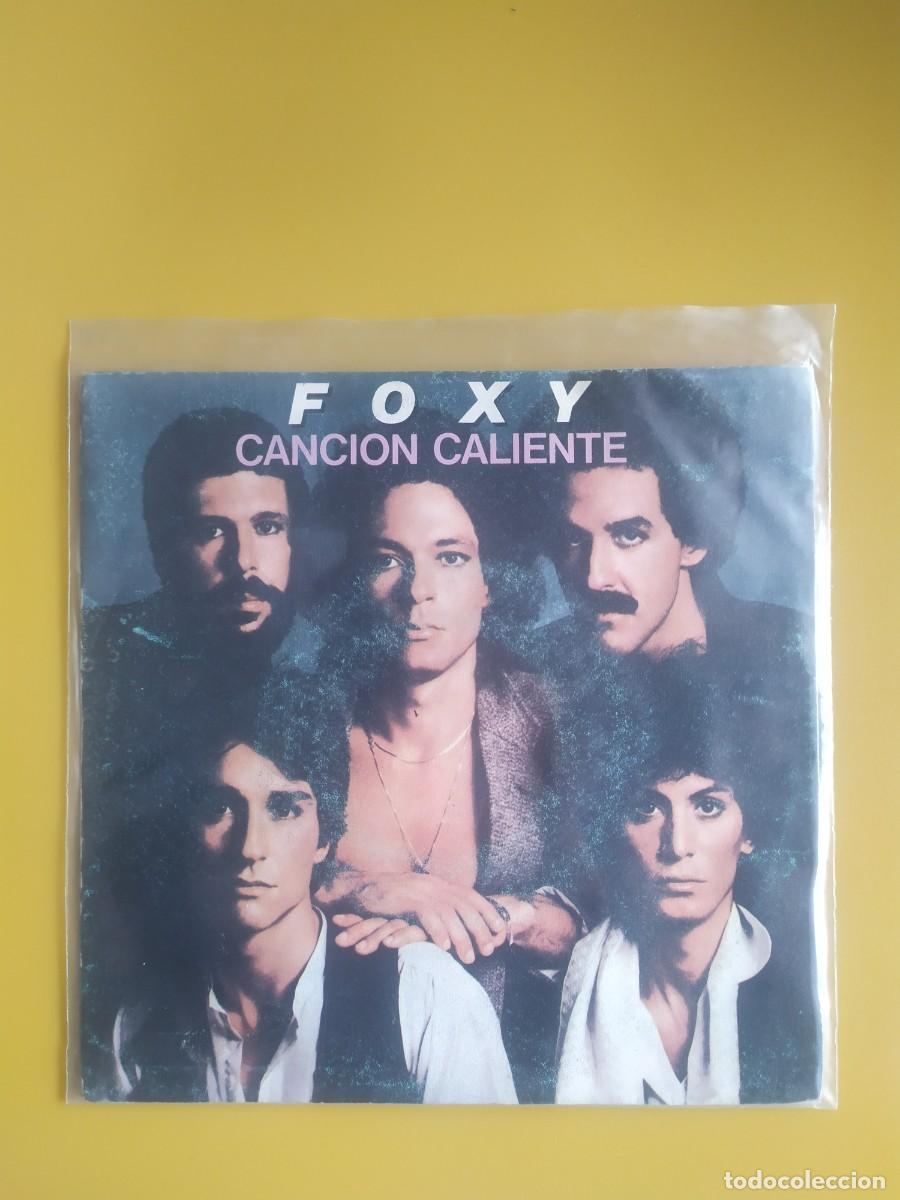 Discos de vinilo: Foxy - Hot number / Call It love 1979 - Foto 1