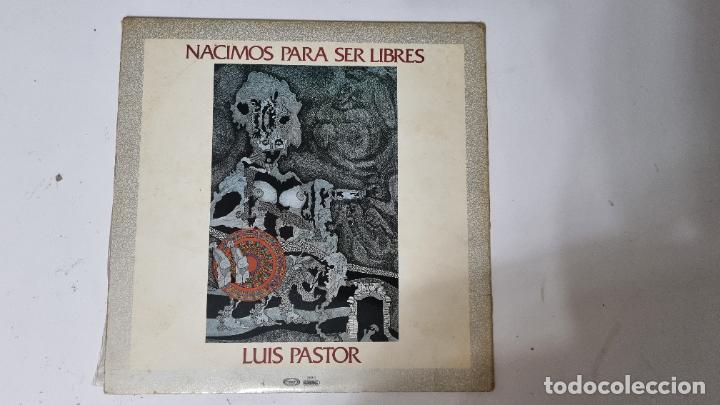 Discos de vinilo: NACIMOS PARA SER LIBRES LUIS PASTOR - VINILO - Foto 2