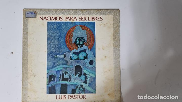 Discos de vinilo: NACIMOS PARA SER LIBRES LUIS PASTOR - VINILO - Foto 1