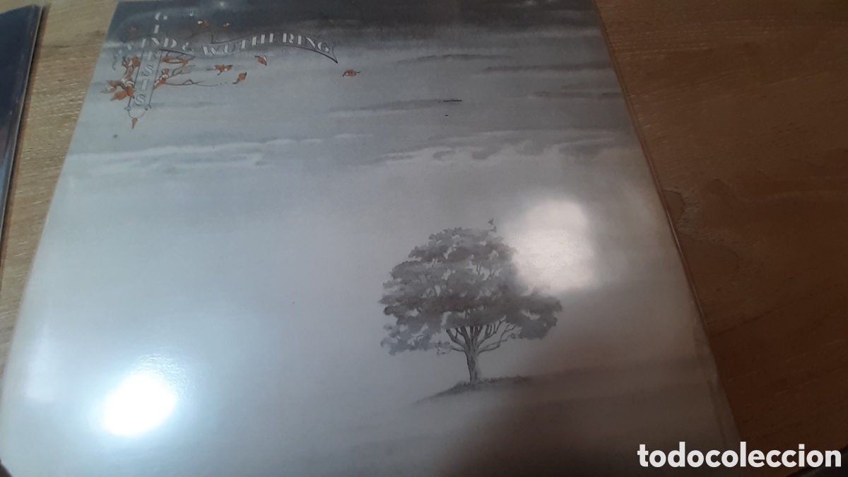 Discos de vinilo: GENESIS WIND AND WUTHERING - Foto 1