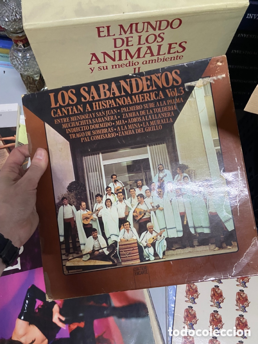 Discos de vinilo: Vinilo LOS SABANDENOS CANTAN A HISPANOAMERICA Vol3 - Foto 1