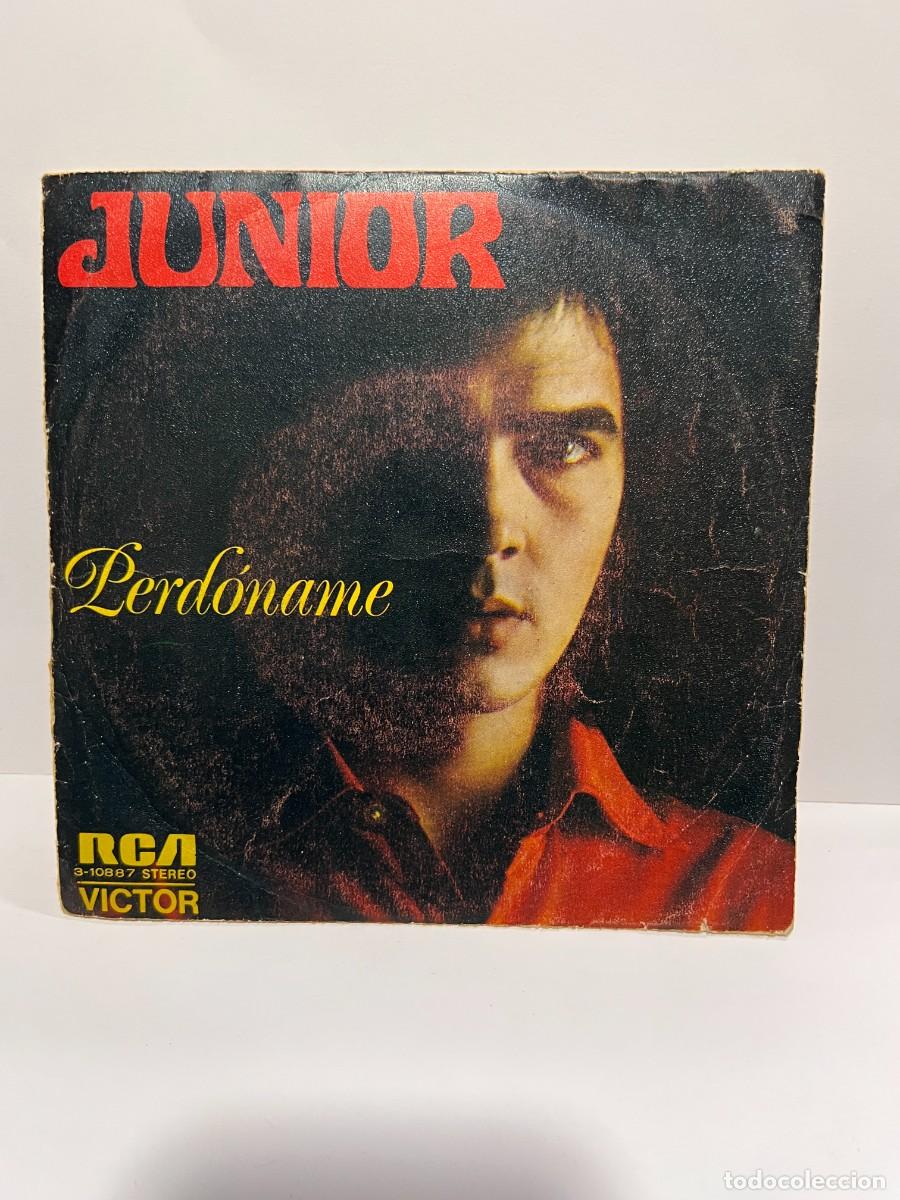 Discos de vinilo: SINGLE - JUNIOR - PERD&Oacute;NAME - RCA/ VICTOR - MADRID 1973 - Foto 1