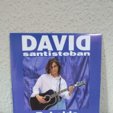 Discos de vinilo: DAVID SANTISTEBAN – REBELDE