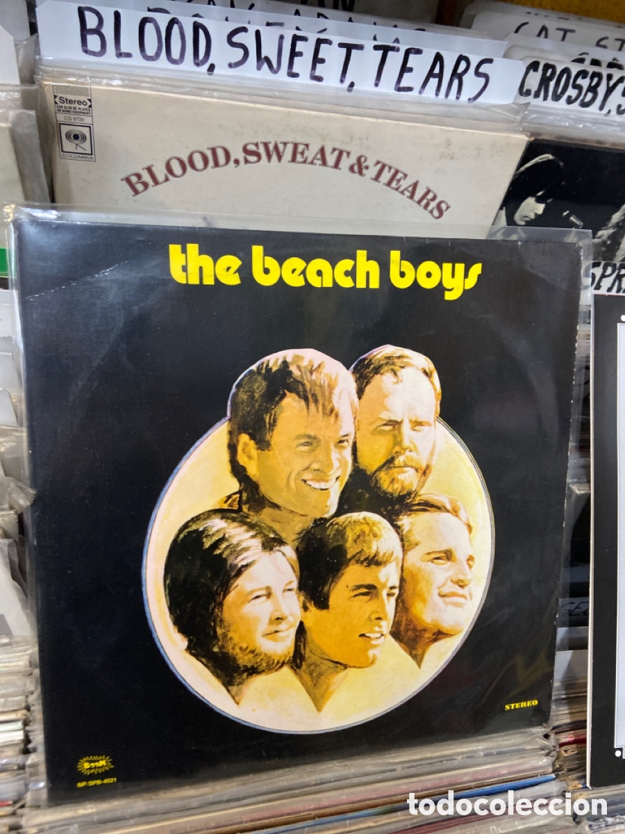 Discos de vinilo: The Beach Boys - Foto 1