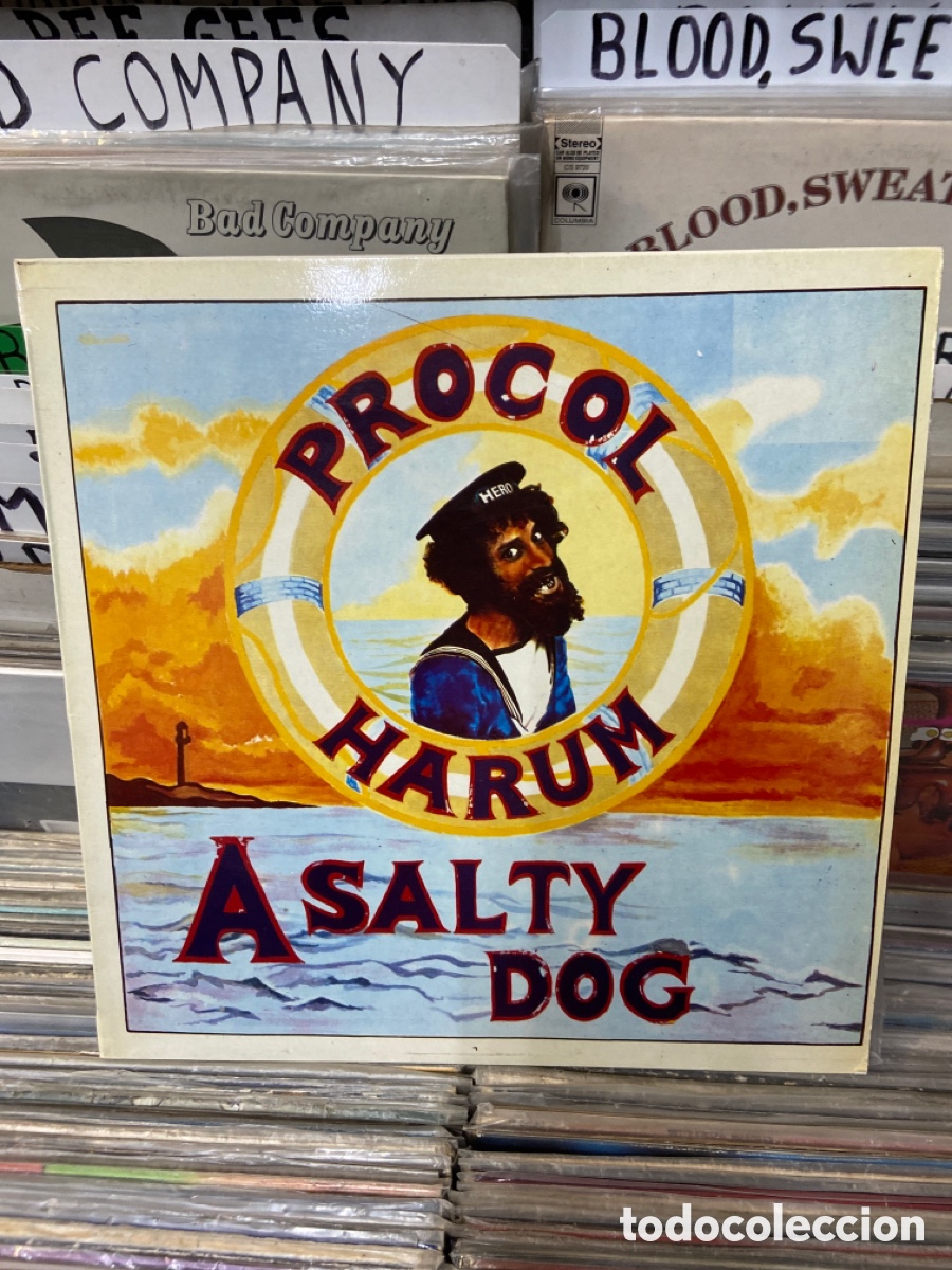 Discos de vinilo: Procol harum a salty dog - Foto 1