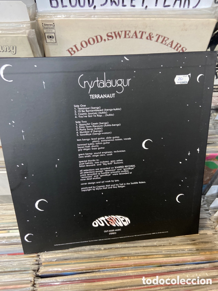 Discos de vinilo: Terranaut crystalaugur - Foto 2