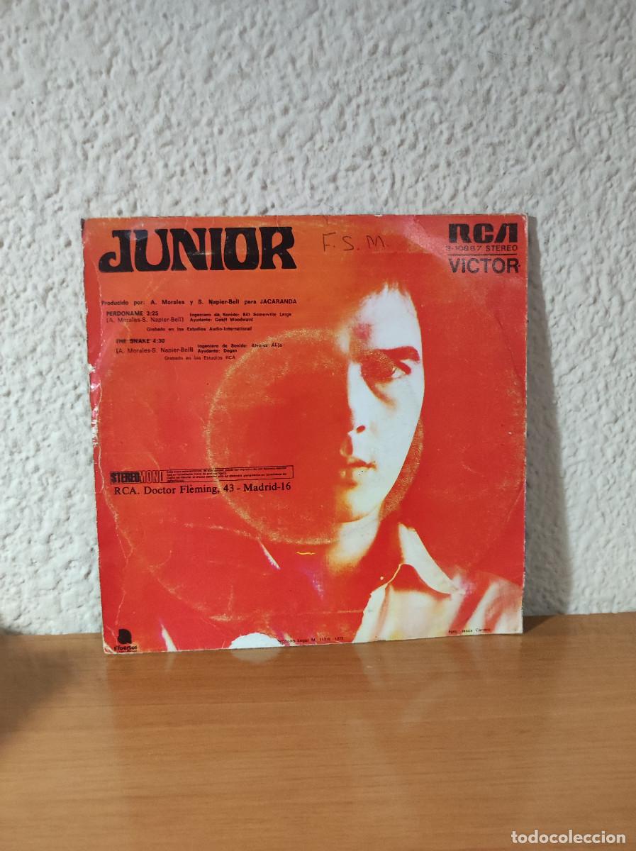 Discos de vinilo: Junior &ndash; Perd&oacute;name - Foto 2
