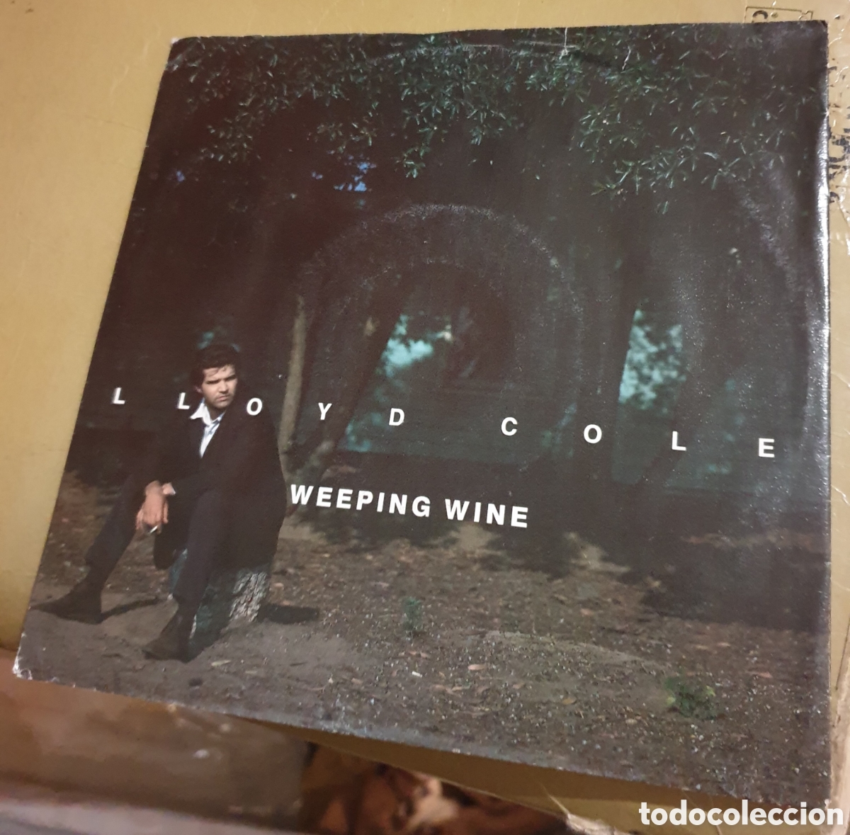 Discos de vinilo: Lloyd Cole - weeping wine - Foto 1