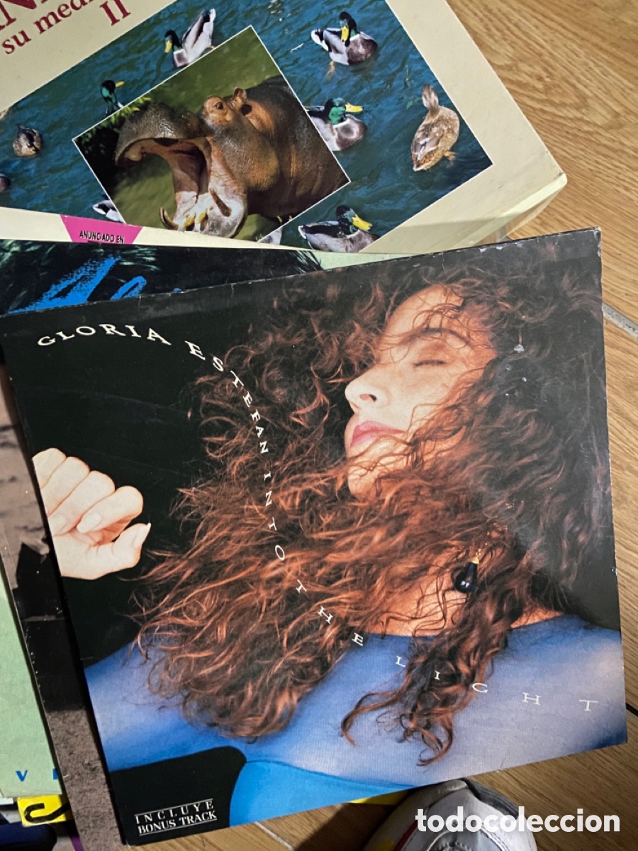 Discos de vinilo: Vinilo into the ligth gloria estefan - Foto 1