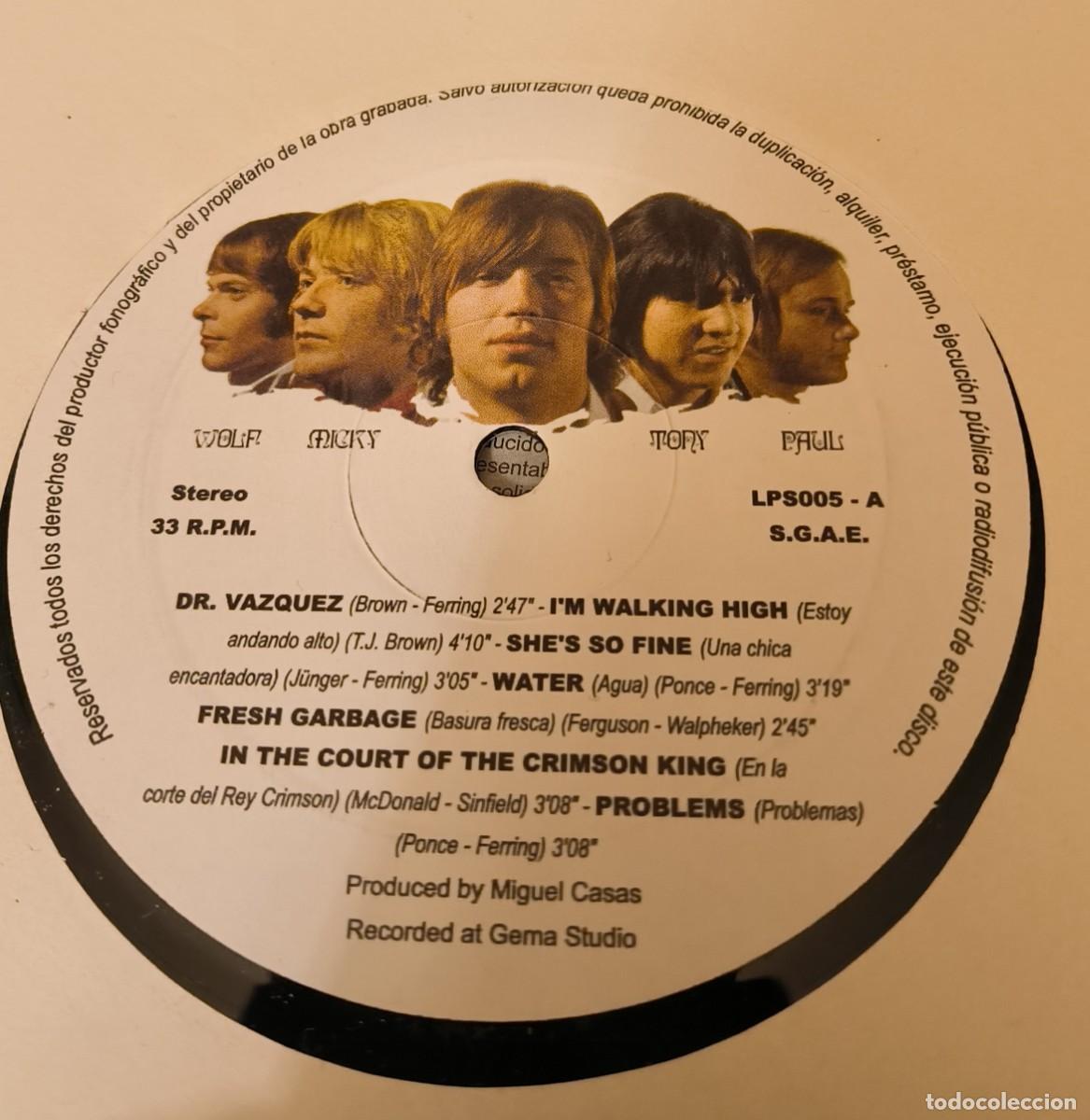 Discos de vinilo: Evolution LP espa&ntilde;ol - Foto 4