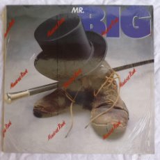 Discos de vinilo: LP VINILO MR. BIG 1989. Lote 401880049