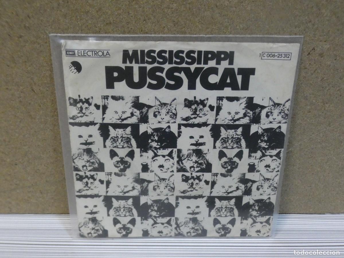 Dischi in vinile: ARKANSAS1980 PACC183 DISCO 7 PULGADAS BUEN ESTADO PUSSYCAT MISSISSIPI