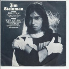 Discos de vinilo: JIM STEINMAN ‎– THE STORM SINGLE PROMO EPIC ‎ A 1196 ESPAÑA 1981. Lote 402103554