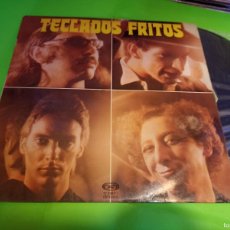 Discos de vinilo: TECLADOS FRITOS LP 1978 EXE CONDICION 33REVOLUCIONES. Lote 402271759