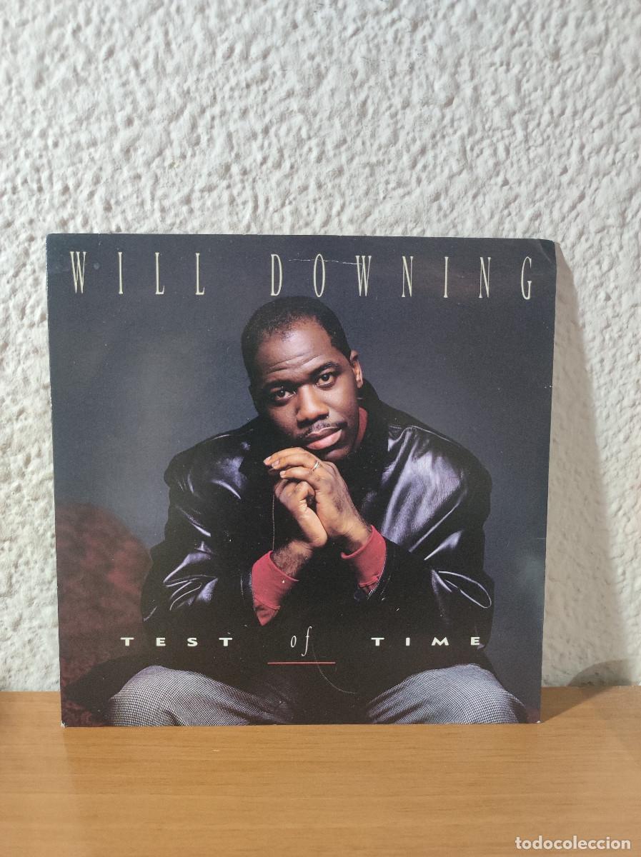 Discos de vinilo: Will Downing &ndash; Test Of Time - Foto 1