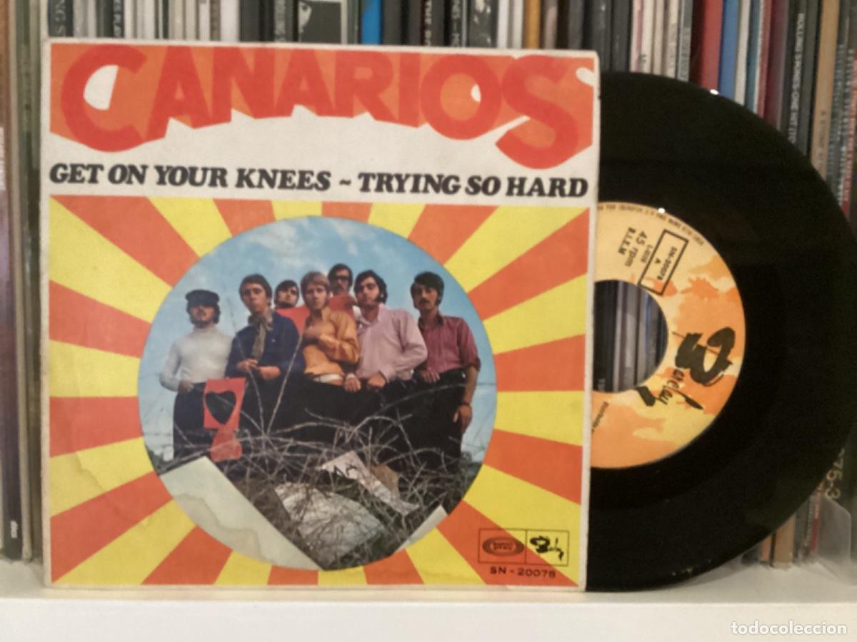 Discos de vinilo: CANARIOS - GET YOUR KNEES - Foto 1