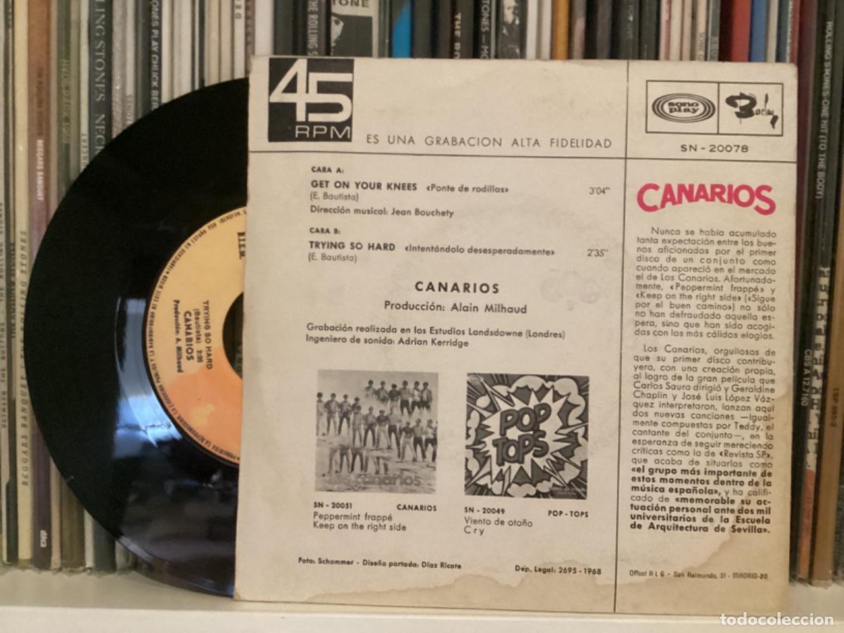 Discos de vinilo: CANARIOS - GET YOUR KNEES - Foto 2