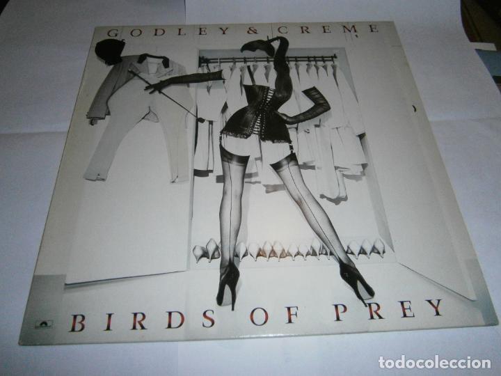 Discos de vinilo: ANTIGUO DISCO LP VINILO - GODLEY & CREME - D2 - Foto 1