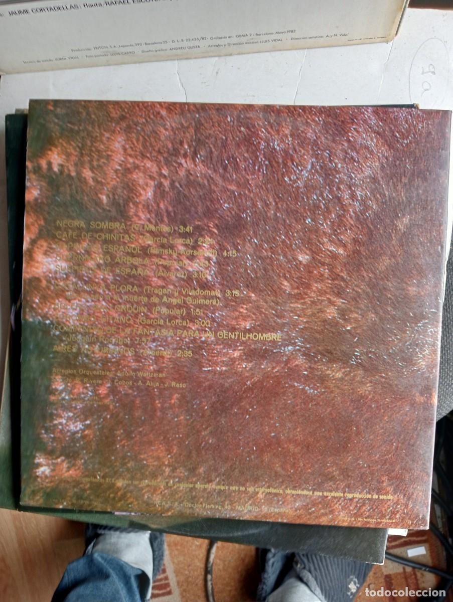 Discos de vinilo: Los Relampagos &ndash; Piel De Toro 1971 lp gatefold - Foto 3