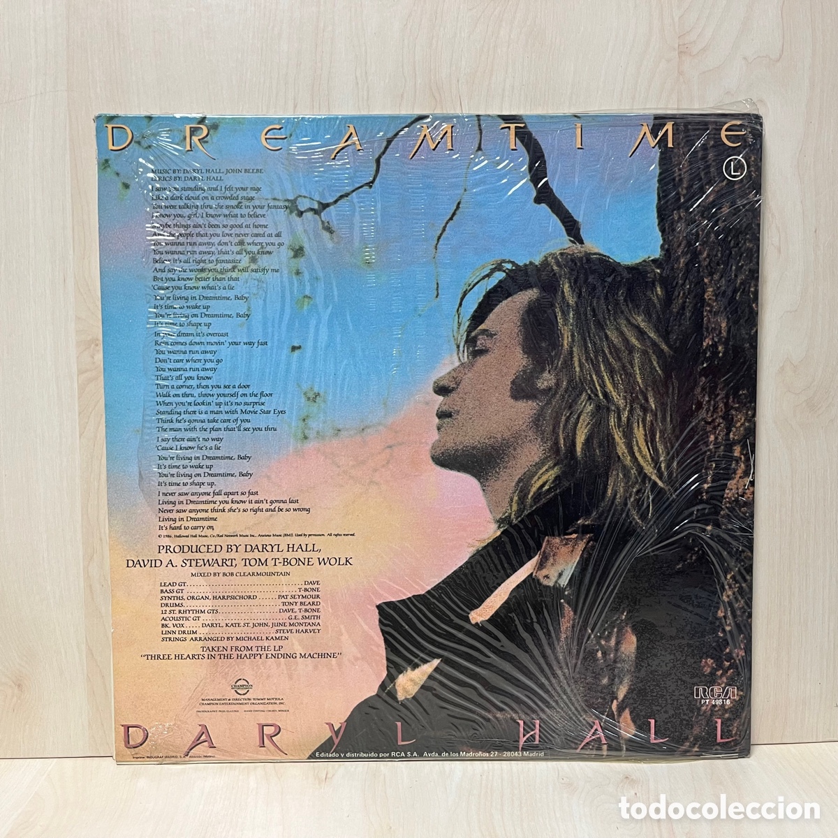 Discos de vinilo: Daryl Hall - Dreamtime (LP, Album) - Foto 2