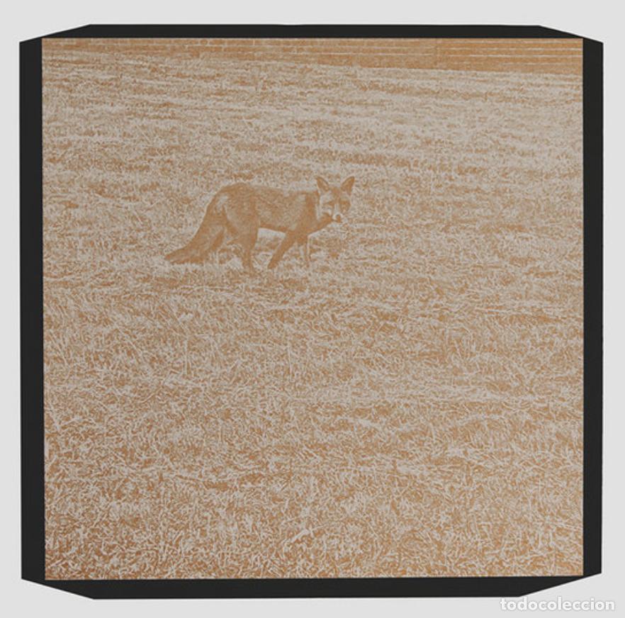 Discos de vinilo: Various &ndash; Comme de Loin (2021) LP Nuevo - Foto 1