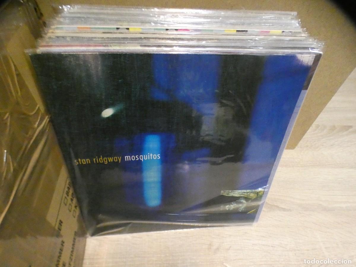 Disques de vinyle: lott197 arkansas1980 lp stan ridgway mosquitos acusa un uso menor 1989