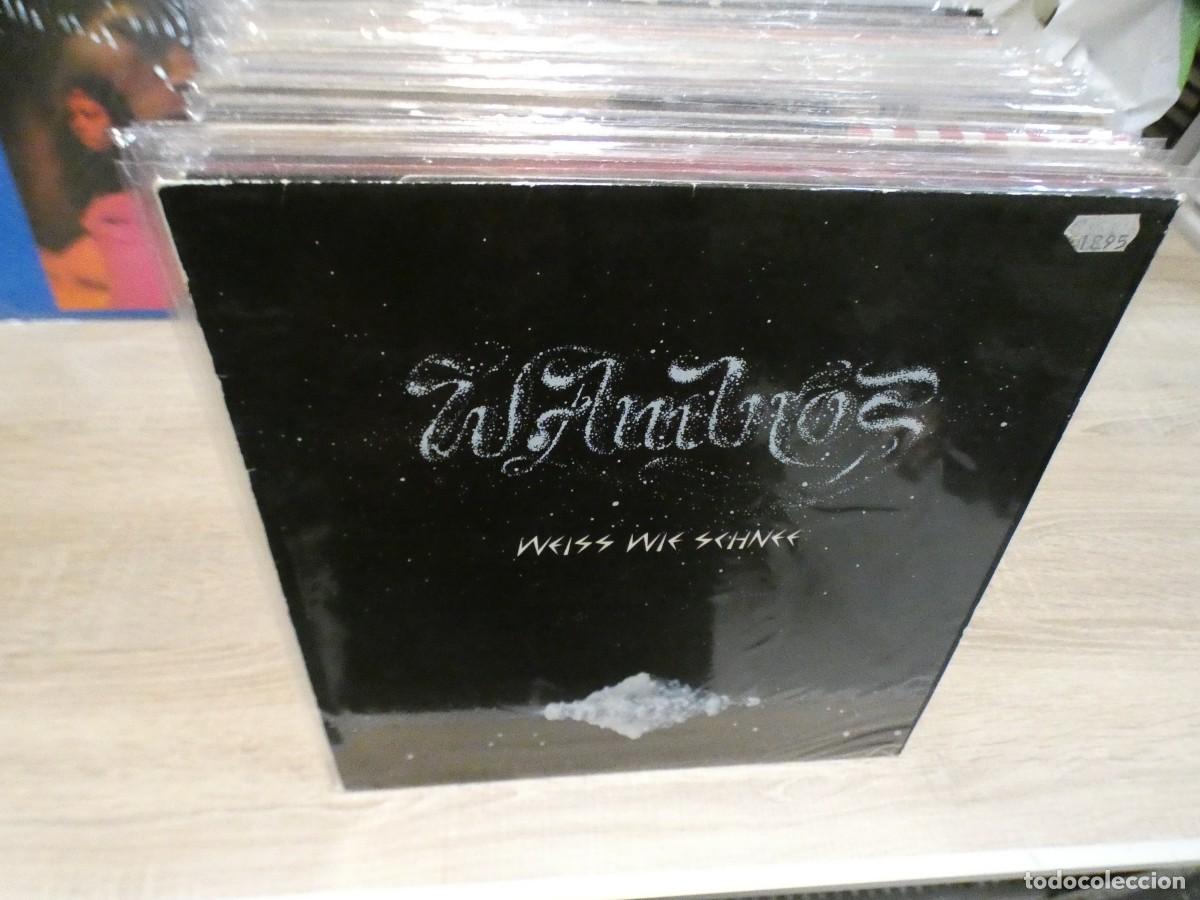 Dischi in vinile: ARKANSAS1980 PACC183 LP BUEN ESTADO DE DISCO W.AMBROS