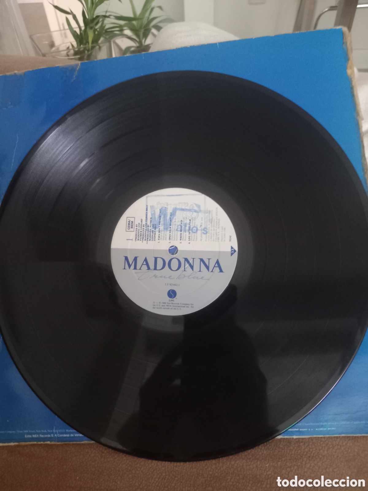 Discos de vinilo: MADONNA TRUE BLUE. CBS 1985 - Foto 3