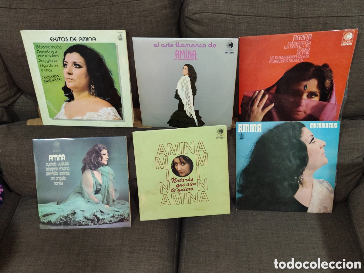 Discos de vinilo: LOTE LPS AMINA - Foto 1