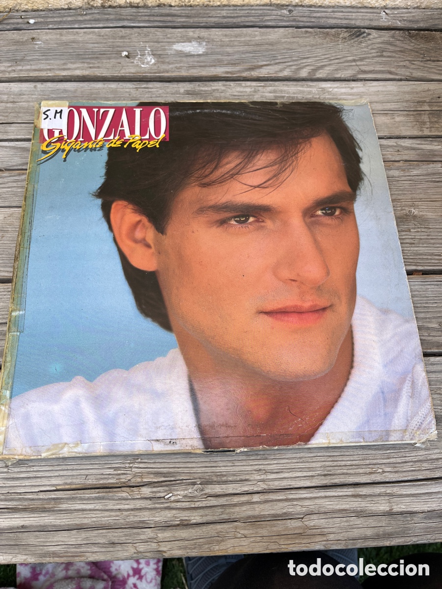 Discos de vinilo: GONZALO GIGANTE DE PAPEL DISCO VINILO