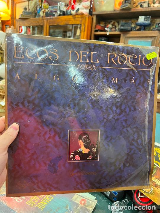 Discos de vinilo: LP ECOS DEL ROCIO - ALGO MAS - Foto 1