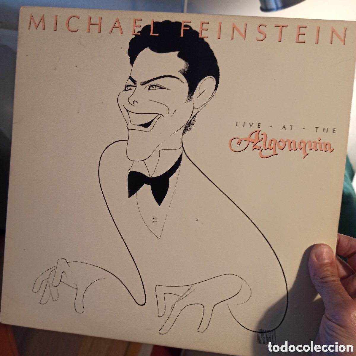 Discos de vinilo: Michael Feinstein &ndash; Live At The Algonquin - Foto 1
